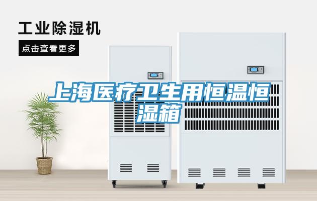 上海醫療衛生用恒溫恒濕箱