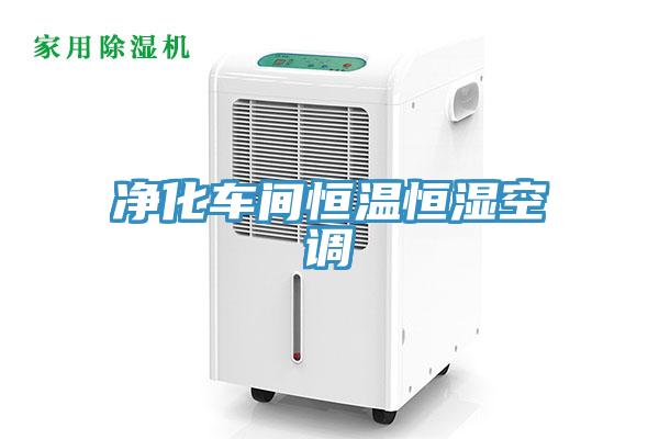 凈化車間恒溫恒濕空調