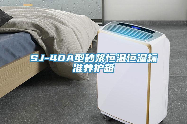 SJ-40A型砂漿恒溫恒濕標準養護箱