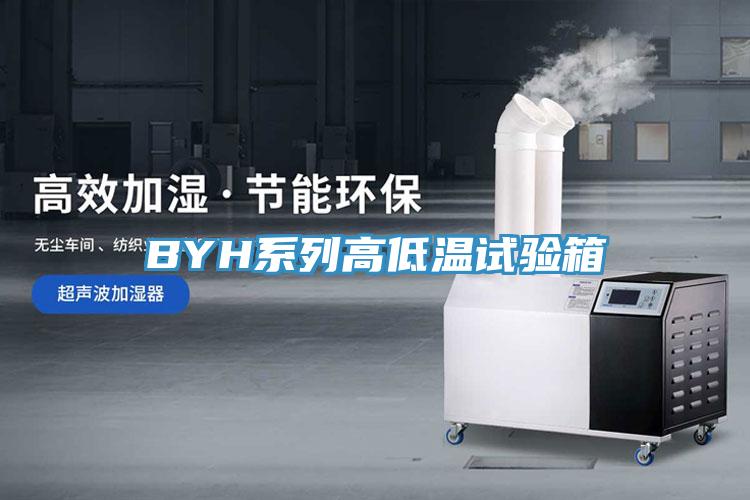 BYH系列高低溫試驗箱