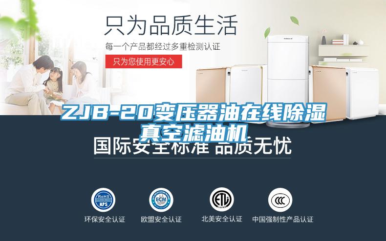 ZJB-20變壓器油在線除濕真空濾油機