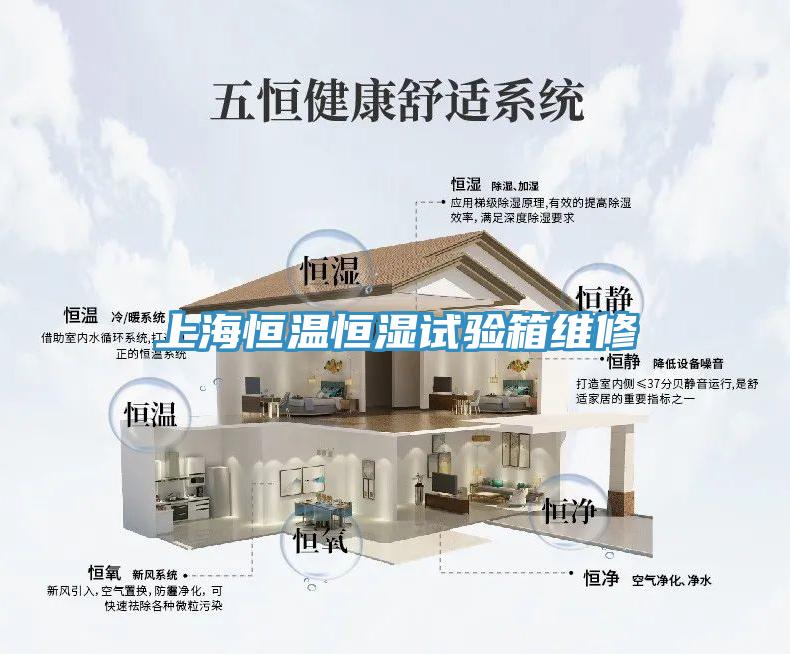 上海恒溫恒濕試驗箱維修