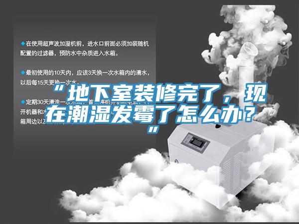 “地下室裝修完了，現在潮濕發霉了怎么辦？”