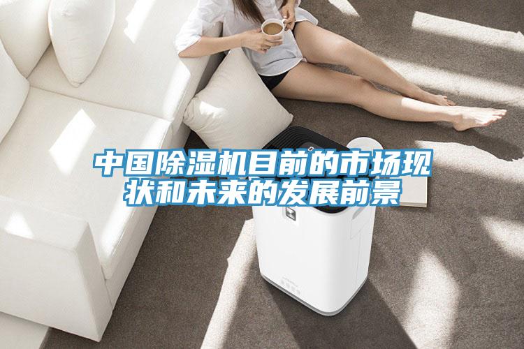 中國除濕機目前的市場現狀和未來的發展前景