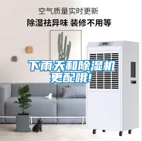 下雨天和除濕機更配哦!