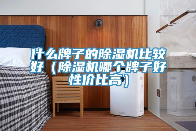 什么牌子的除濕機比較好（除濕機哪個牌子好性價比高）