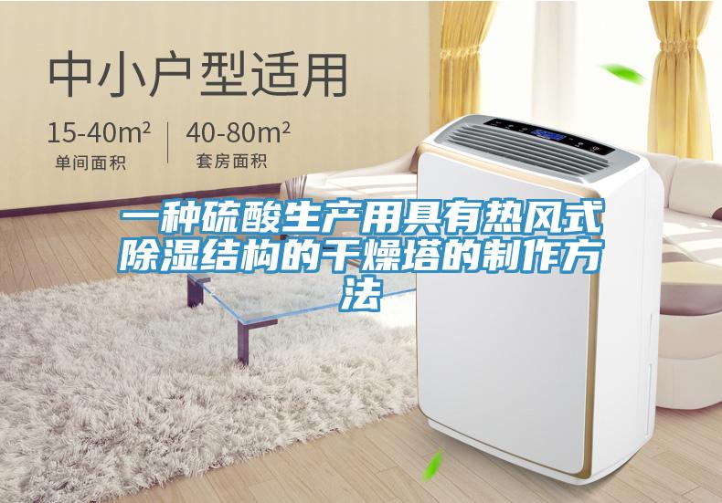 一種硫酸生產用具有熱風式除濕結構的干燥塔的制作方法