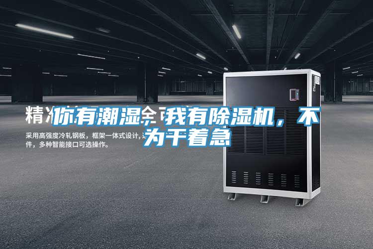 你有潮濕，我有除濕機，不為干著急