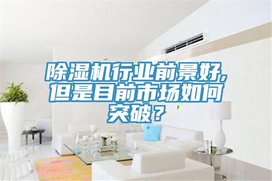 除濕機行業前景好,但是目前市場如何突破？