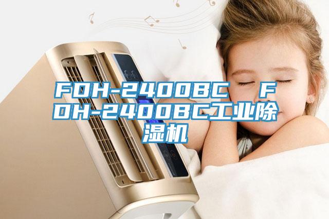 FDH-2400BC  FDH-2400BC工業除濕機