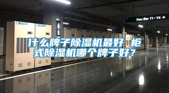 什么牌子除濕機最好 柜式除濕機哪個牌子好？