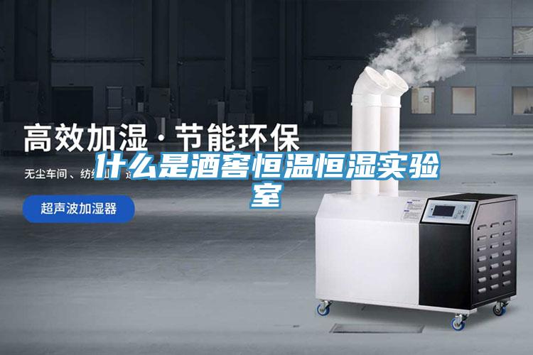 什么是酒窖恒溫恒濕實驗室