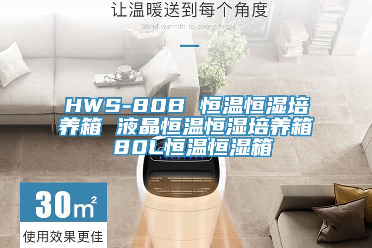 HWS-80B 恒溫恒濕培養箱 液晶恒溫恒濕培養箱 80L恒溫恒濕箱