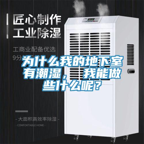 為什么我的地下室有潮濕， 我能做些什么呢？