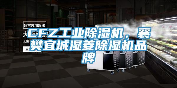 CFZ工業除濕機，襄樊宜城濕菱除濕機品牌