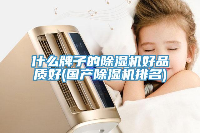 什么牌子的除濕機好品質好(國產除濕機排名)