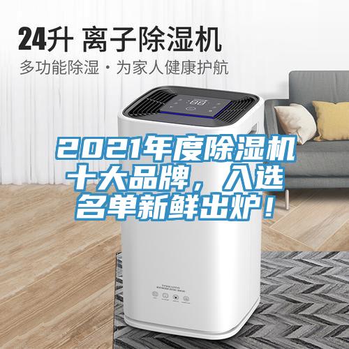 2021年度除濕機十大品牌，入選名單新鮮出爐！