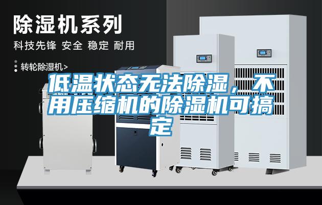 低溫狀態無法除濕，不用壓縮機的除濕機可搞定