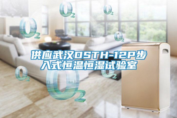 供應武漢DSTH-12P步入式恒溫恒濕試驗室