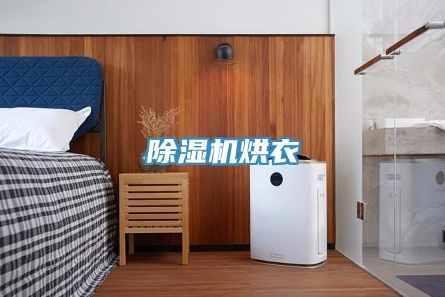 除濕機烘衣