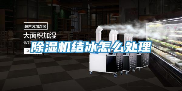 除濕機結冰怎么處理