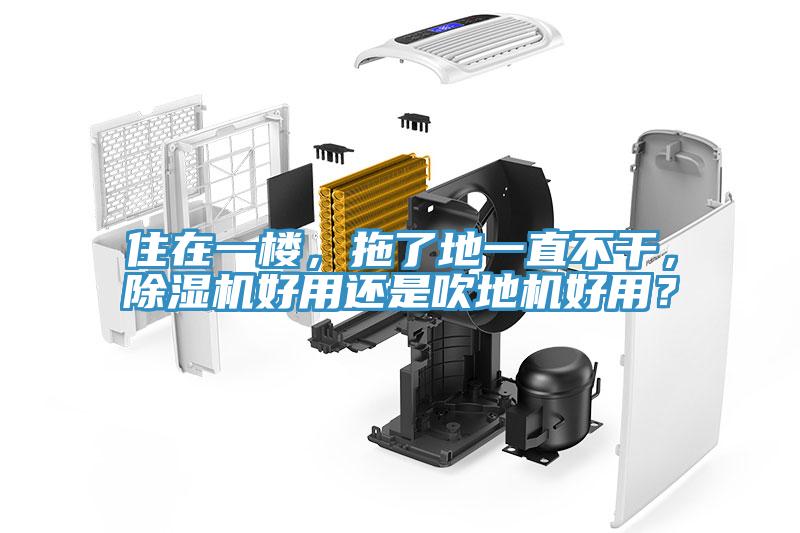 住在一樓，拖了地一直不干，除濕機好用還是吹地機好用？