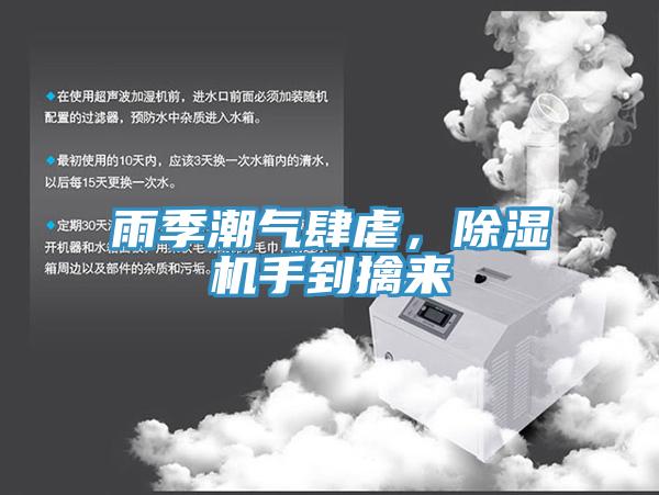 雨季潮氣肆虐，除濕機手到擒來