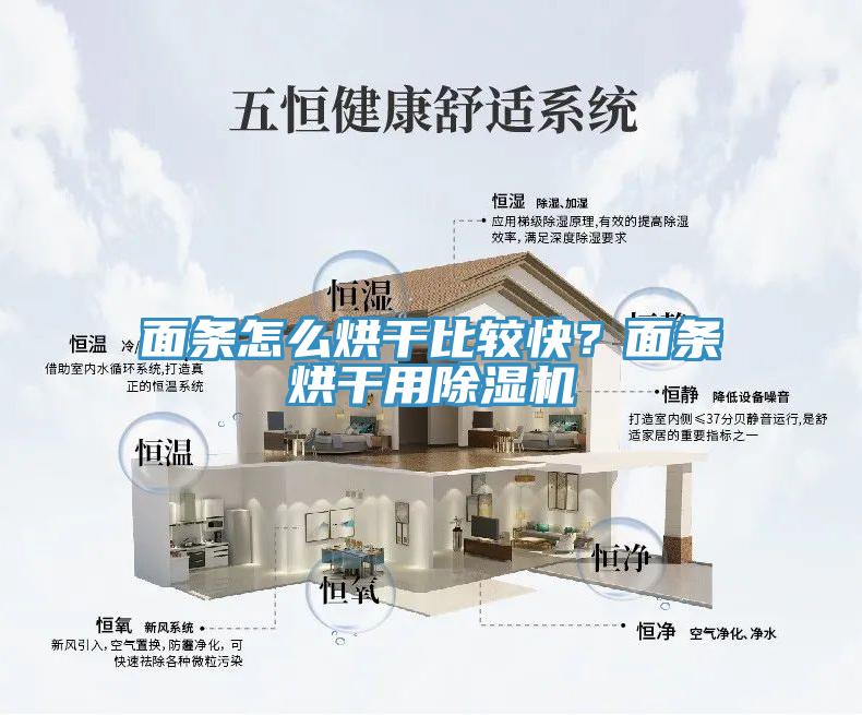 面條怎么烘干比較快？面條烘干用除濕機