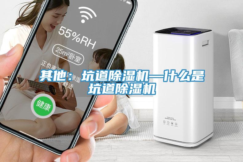 其他：坑道除濕機—什么是坑道除濕機