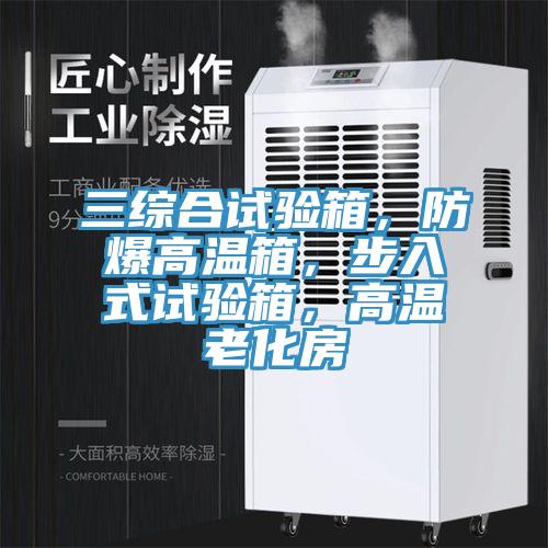 三綜合試驗箱，防爆高溫箱，步入式試驗箱，高溫老化房
