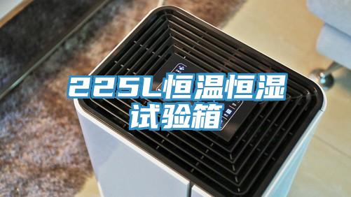 225L恒溫恒濕試驗箱