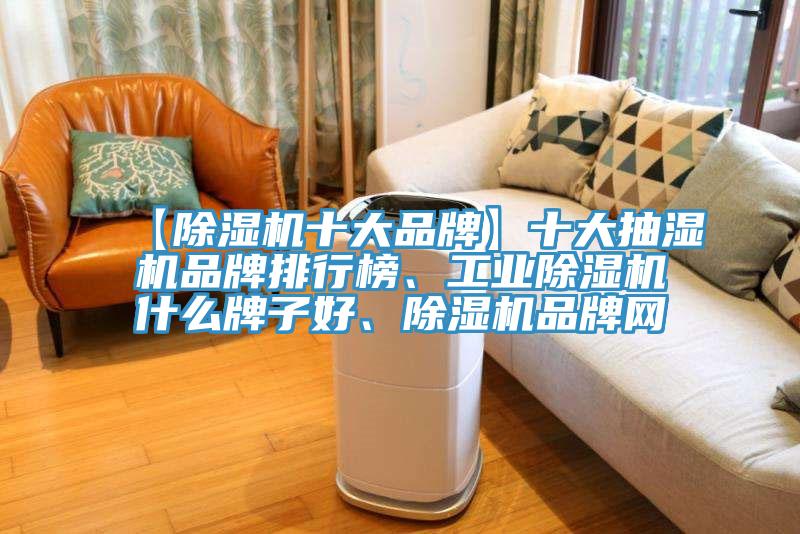 【除濕機十大品牌】十大抽濕機品牌排行榜、工業除濕機什么牌子好、除濕機品牌網