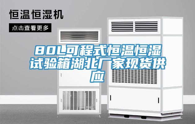 80L可程式恒溫恒濕試驗箱湖北廠家現貨供應