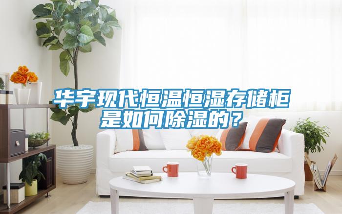 華宇現代恒溫恒濕存儲柜是如何除濕的？