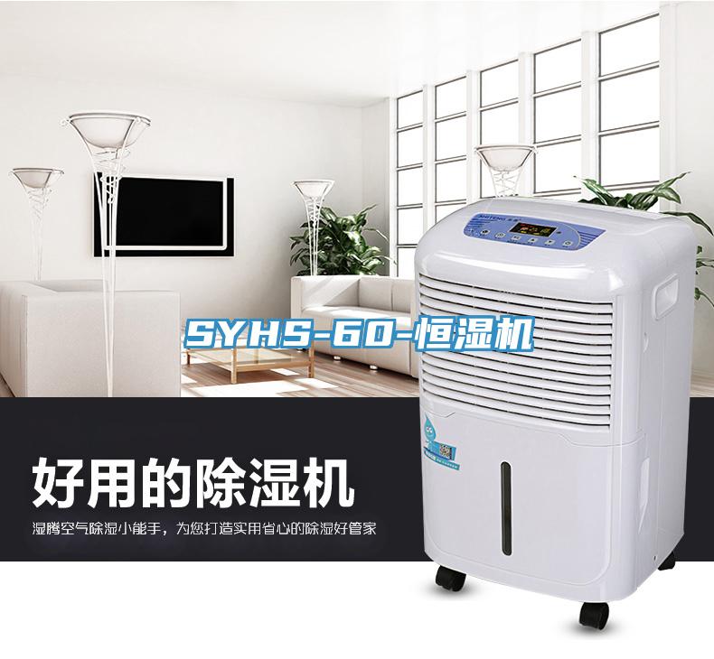 SYHS-60-恒濕機