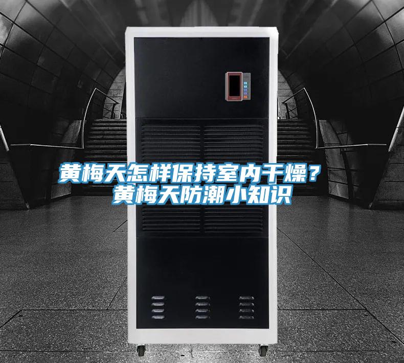 黃梅天怎樣保持室內干燥？ 黃梅天防潮小知識
