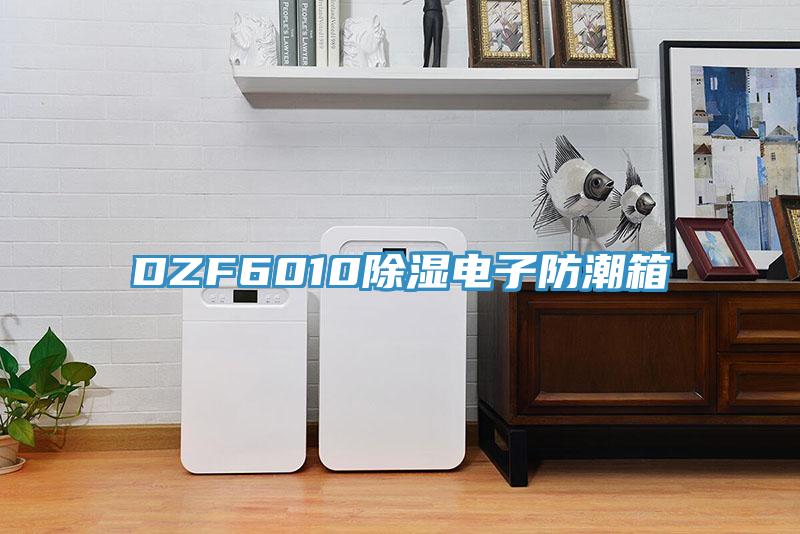 DZF6010除濕電子防潮箱