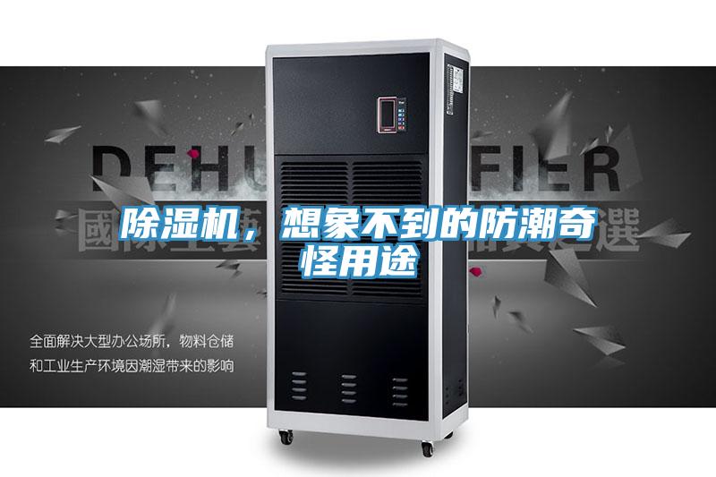除濕機，想象不到的防潮奇怪用途