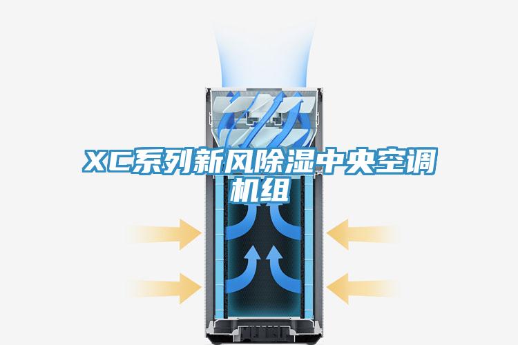 XC系列新風除濕中央空調機組