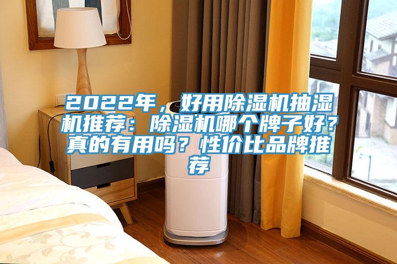 2022年，好用除濕機抽濕機推薦：除濕機哪個牌子好？真的有用嗎？性價比品牌推薦
