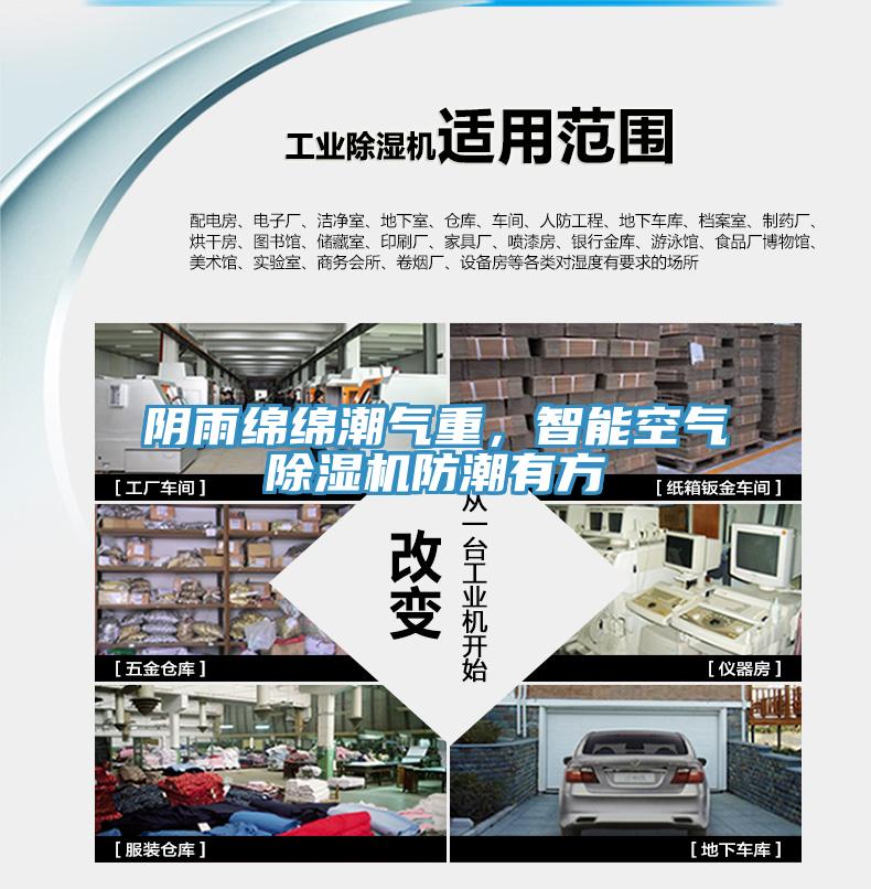 陰雨綿綿潮氣重，智能空氣除濕機防潮有方