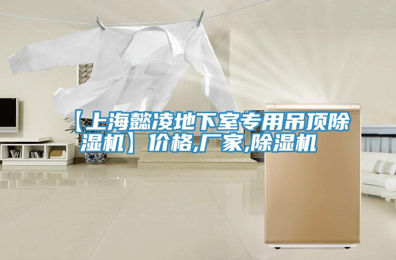 【上海懿凌地下室專用吊頂除濕機】價格,廠家,除濕機