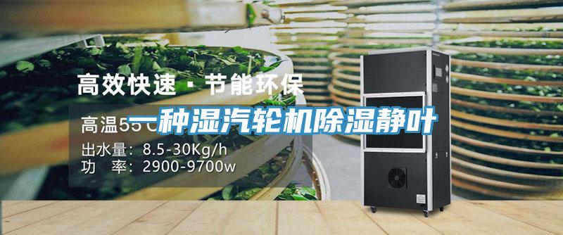一種濕汽輪機除濕靜葉