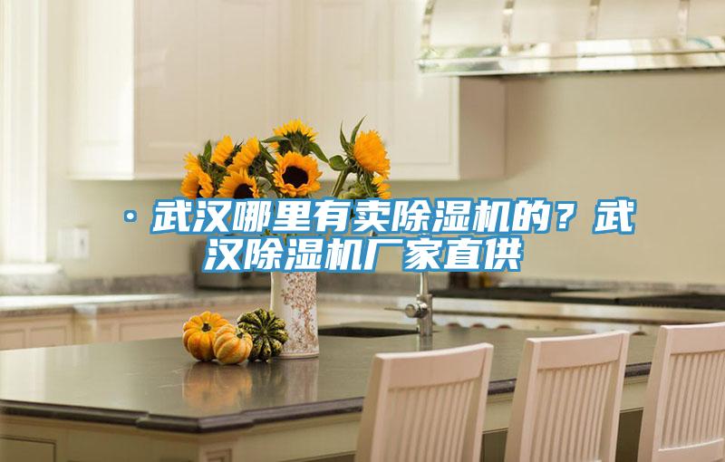 ·武漢哪里有賣除濕機的？武漢除濕機廠家直供