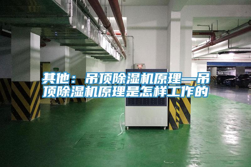其他：吊頂除濕機原理—吊頂除濕機原理是怎樣工作的