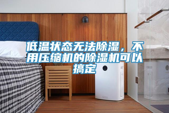 低溫狀態無法除濕，不用壓縮機的除濕機可以搞定