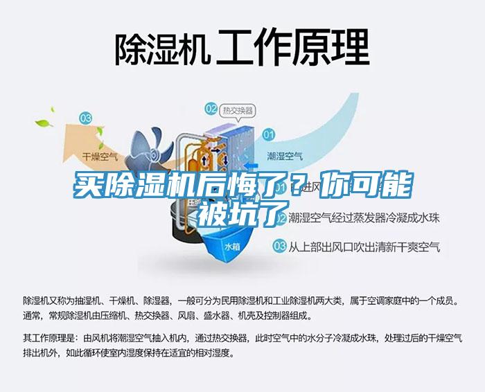 買除濕機后悔了？你可能被坑了