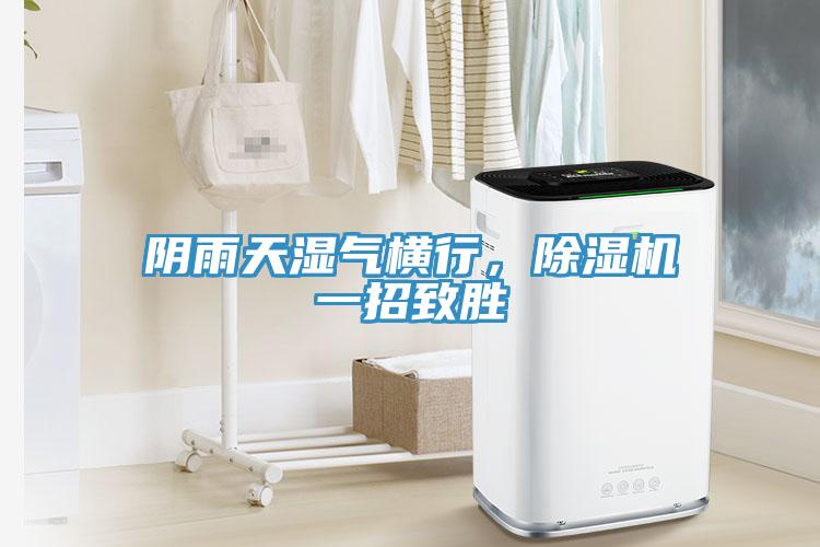 陰雨天濕氣橫行，除濕機一招致勝