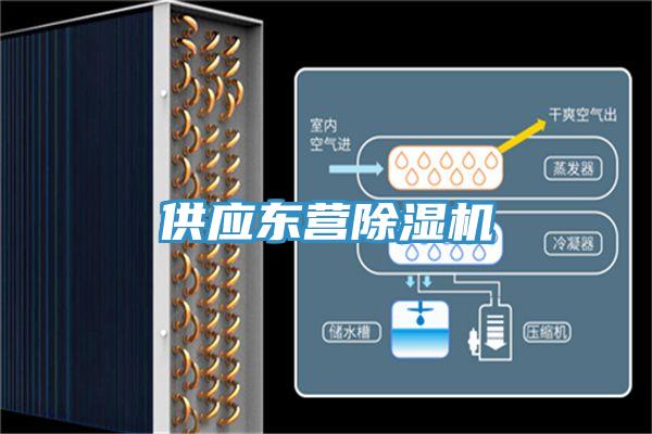 供應東營除濕機