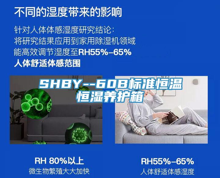 SHBY--60B標準恒溫恒濕養護箱